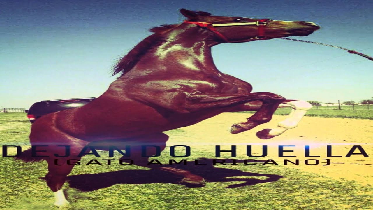 Los Traviezoz De La Zierra-Dejando Huella (Gato Americano) 2015