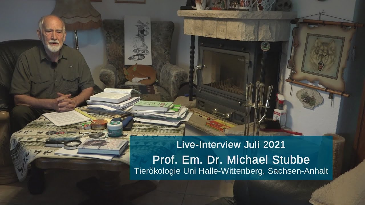 Wölfe ohne Grenzen - KLARTEXT Prof. Dr. Stubbe