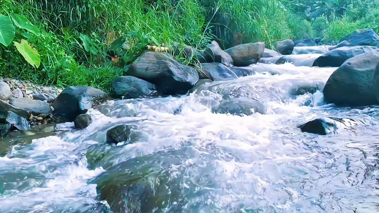Gentle River Water for Deep Night Rest