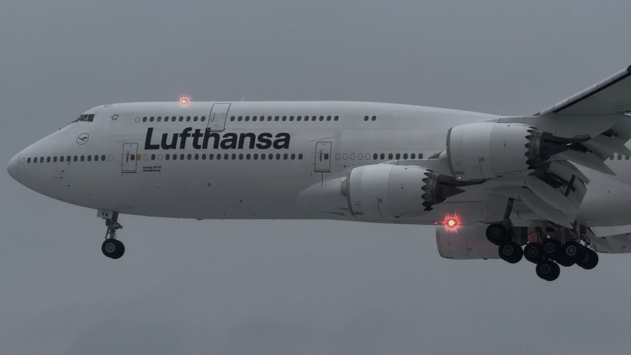 Close Up Approaches and Landings at Frankfurt Main Airport (FRA) | B748 B777 A343 A333 A339