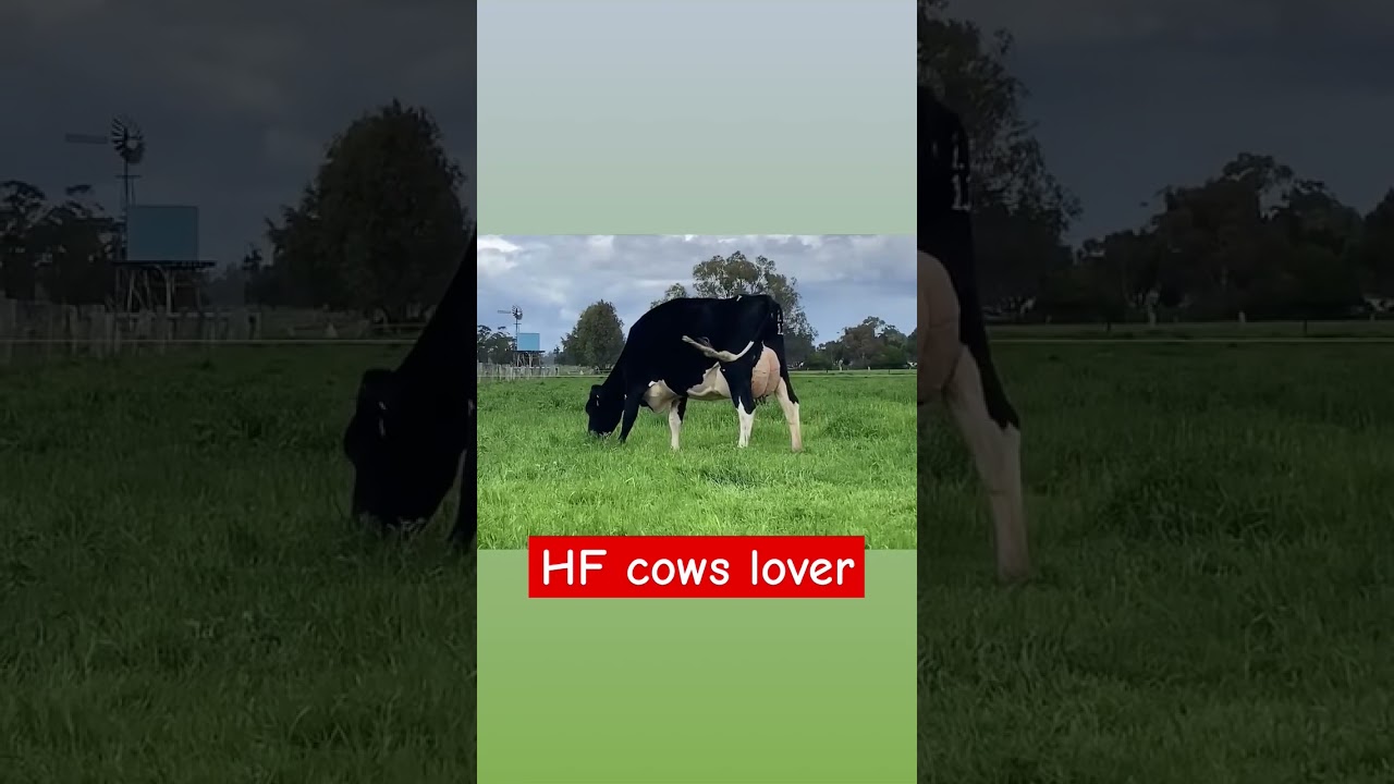 #dairyindustry