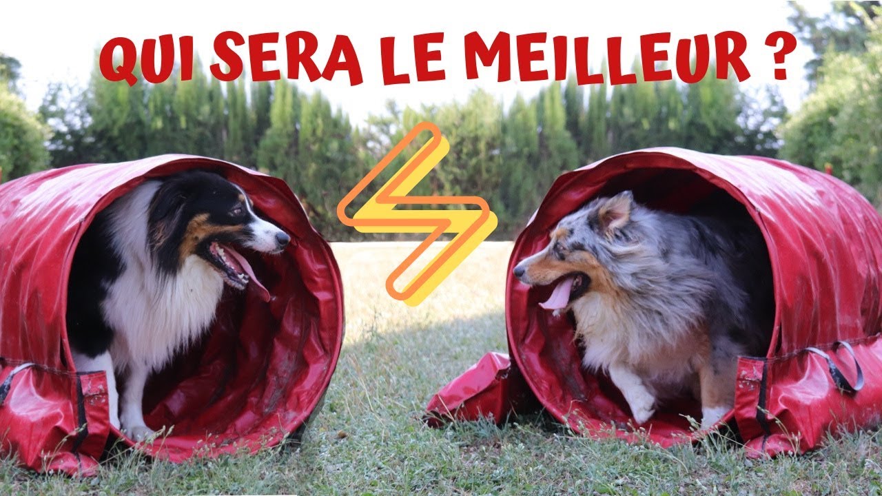 CHALLENGE : QUI SERA LE MEILLEUR ?