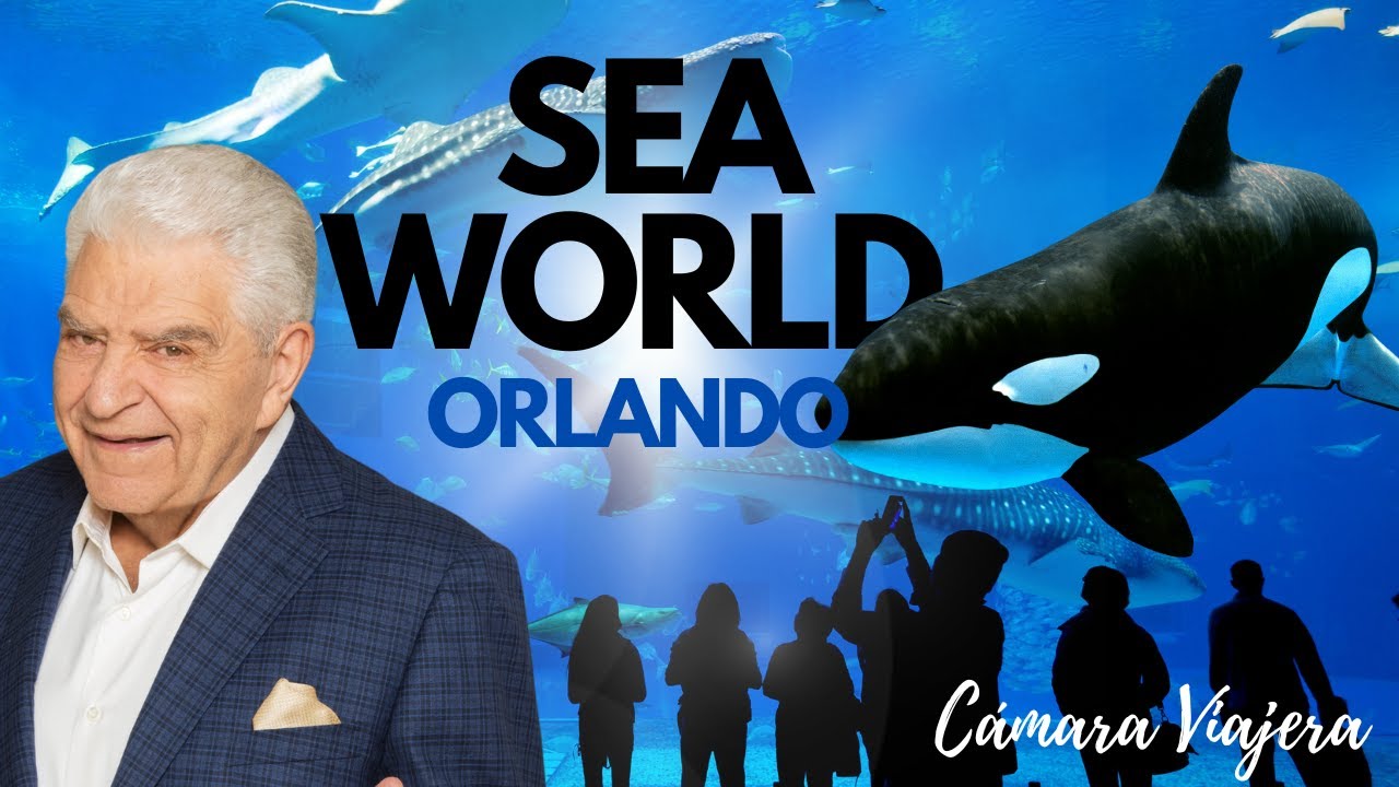 Sumérgete En El Increíble Mundo Marino (Sea World) - CAMARA VIAJERA