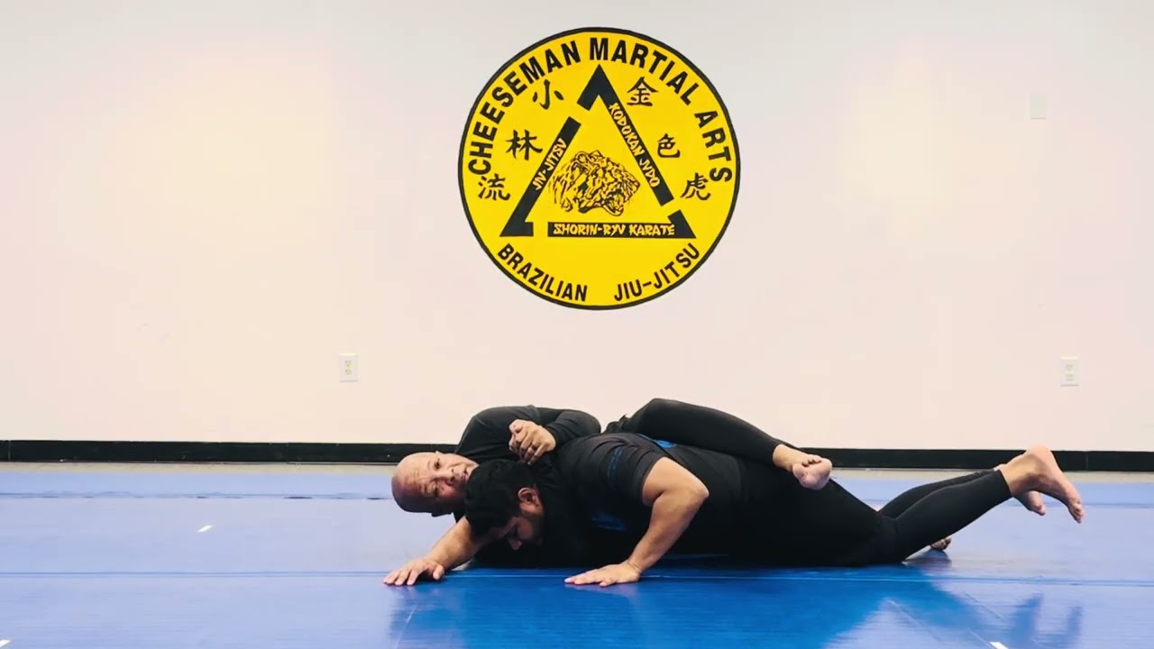 Jiu Jitsu Self Defense Blue Belt-Purple Belt Stripe 2 14. Take the Back from the Guard