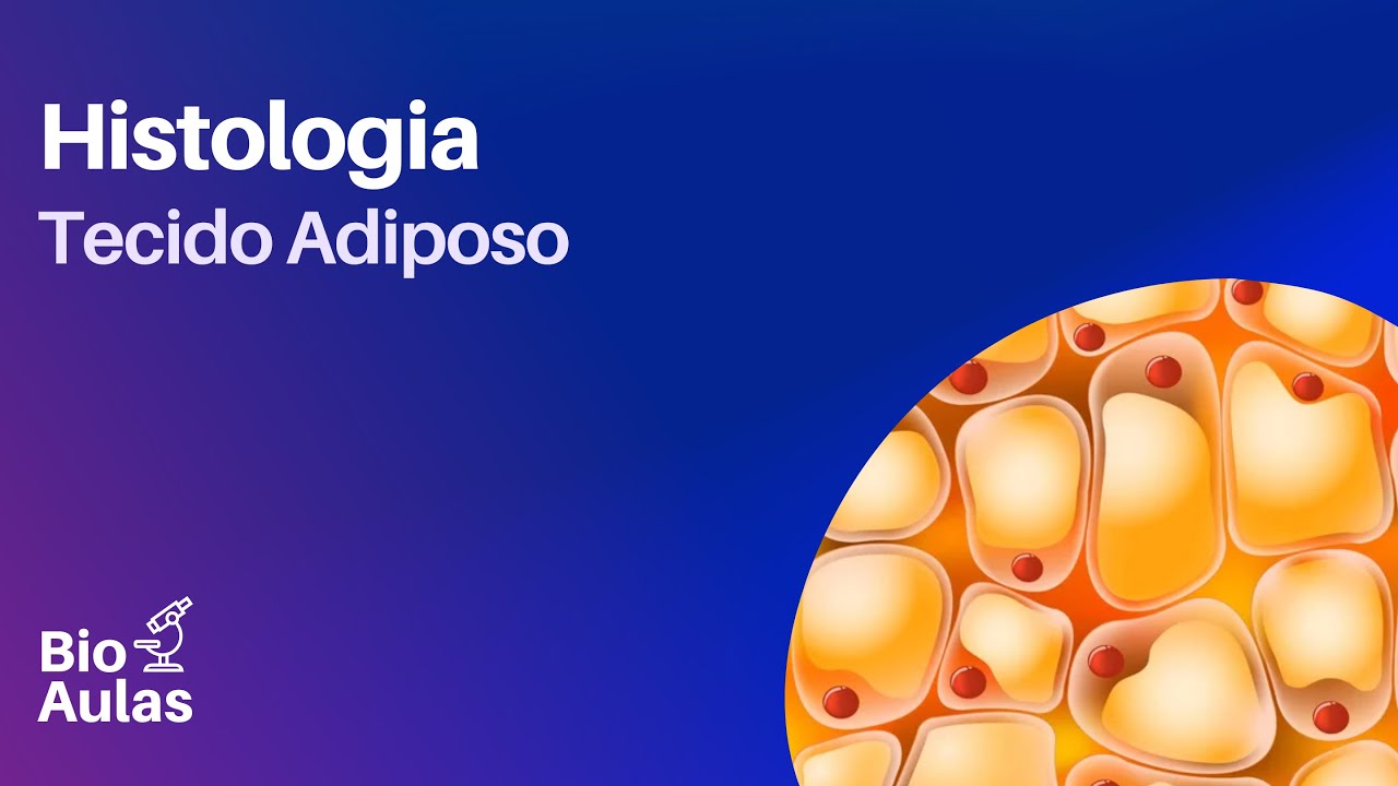 Tecido Adiposo - Histologia