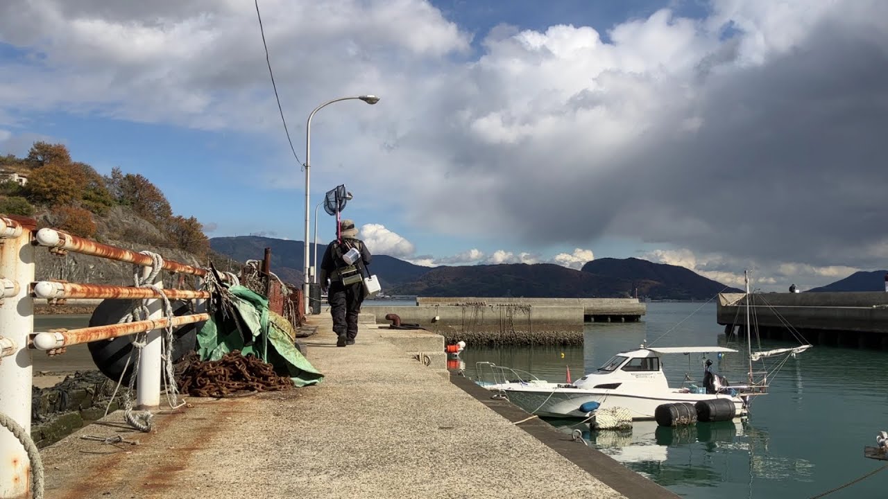 冬の堤防でちょっと延べ釣り【延べ竿釣行記】