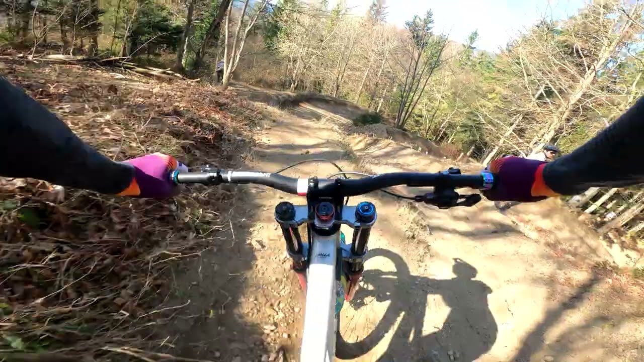 DH 2025 Bikepark Todtnau