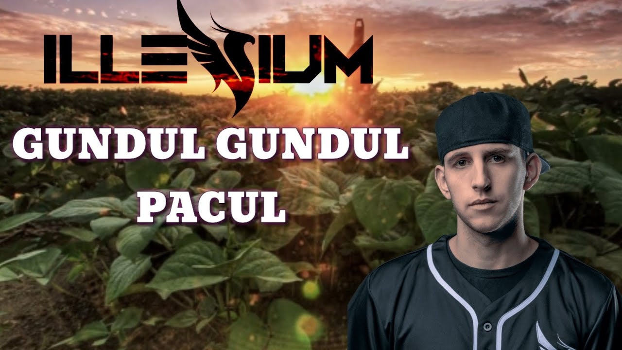 Dj Gundul Gundul Pacul - File289 Remix Illenium Style