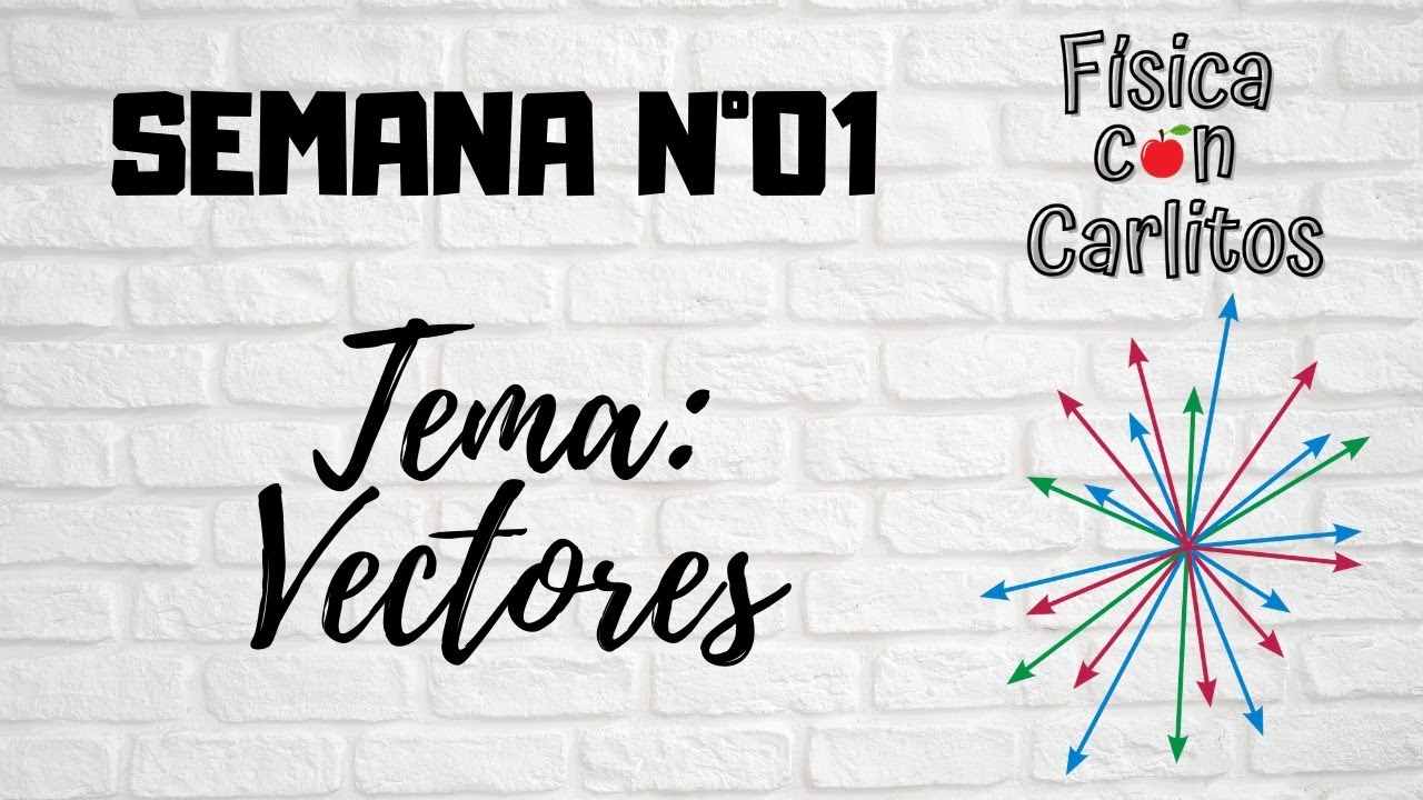 VECTORES PARTE*1 (EJERCICIOS)
