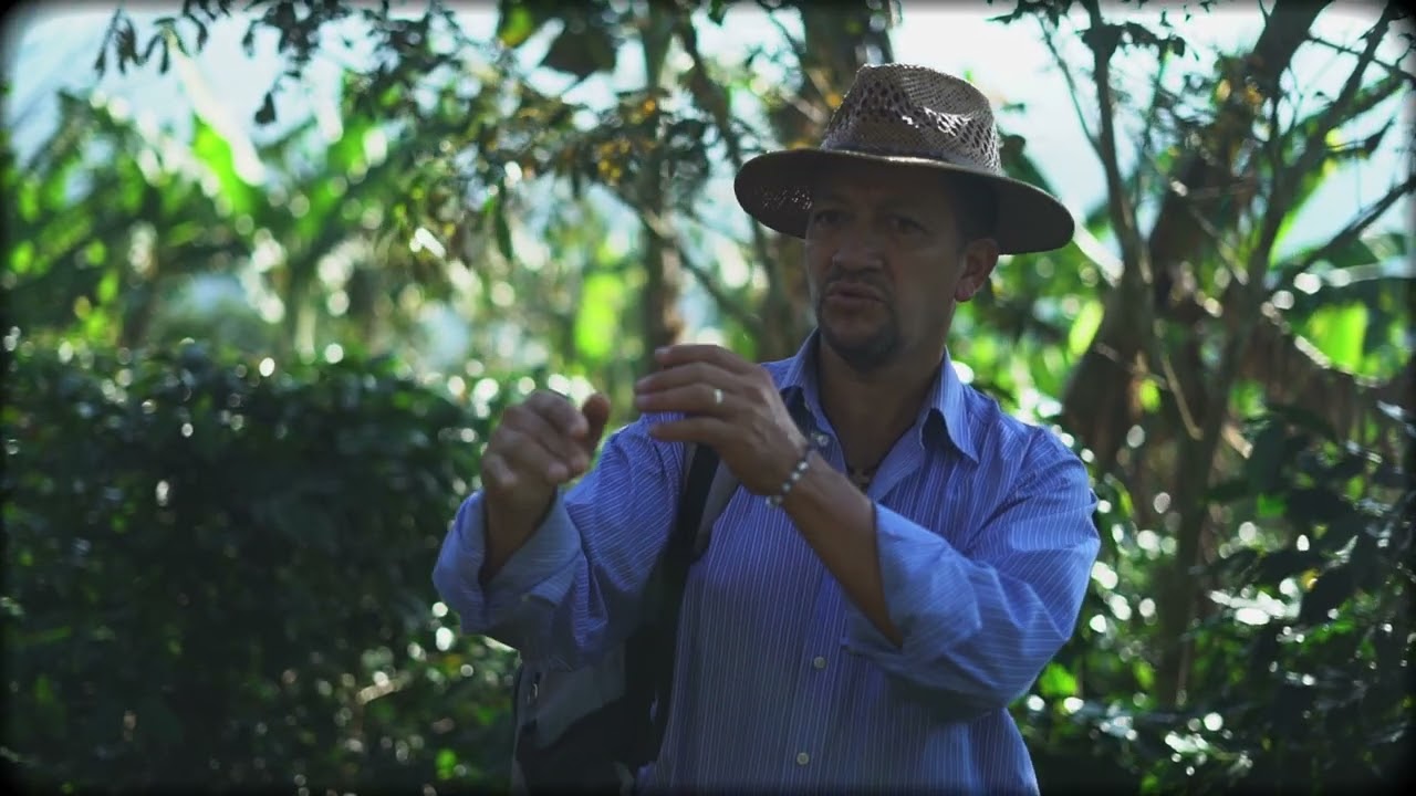 Real ambassador of the Land | Honduran Coffee Farmers | Caribe Coffee Co.