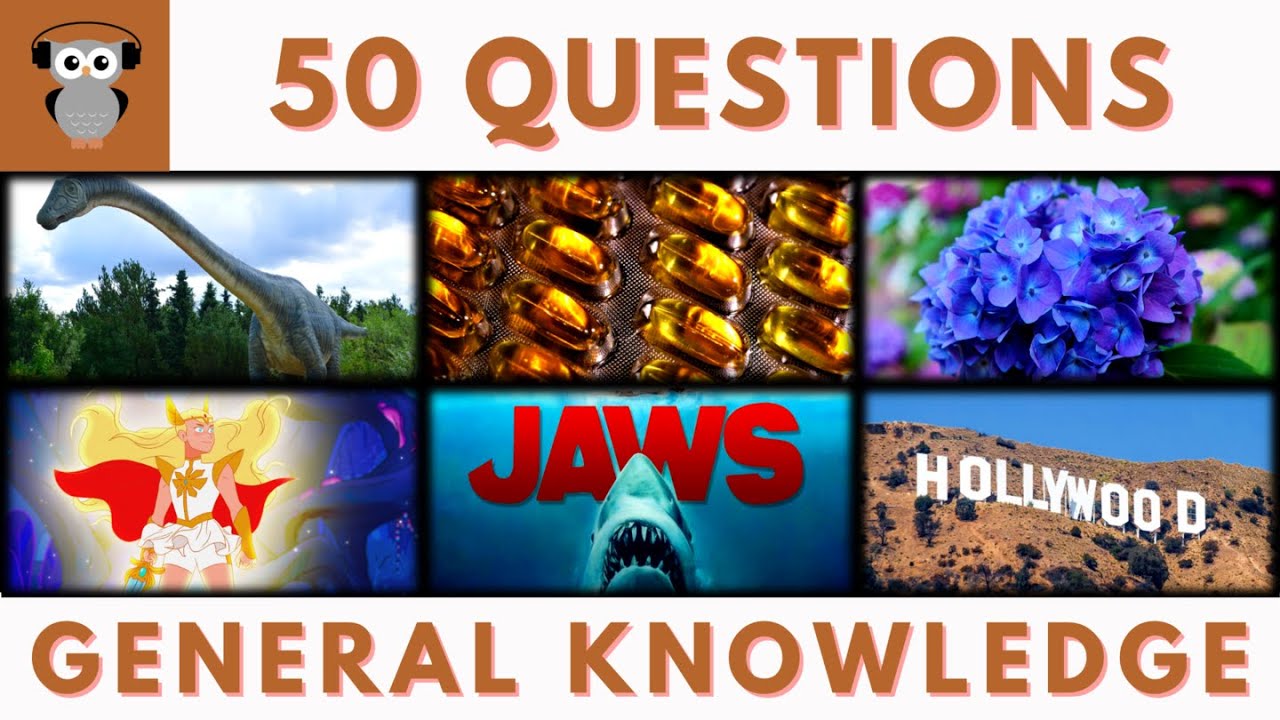General Knowledge Quiz Trivia #214 | Fossilized Dinosaur, Cod Liver Oil, Hydrangea, She-Ra, Jaws