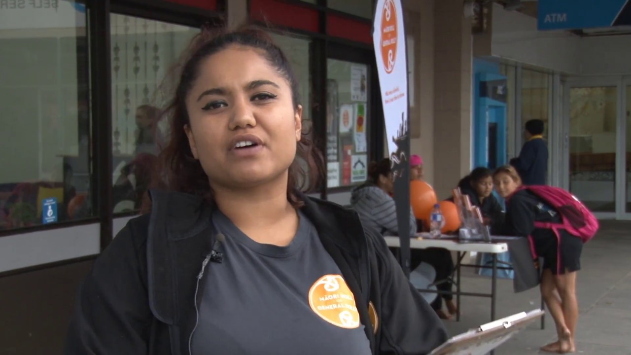 Maori Roll or General Roll