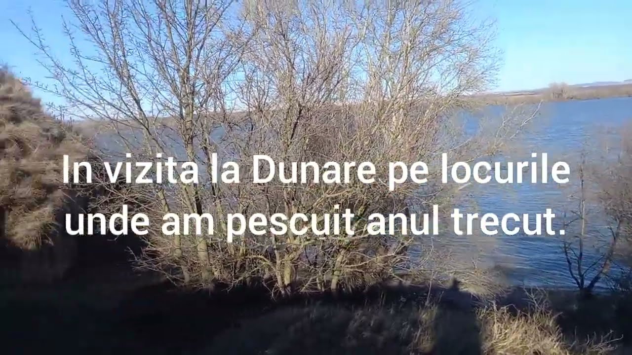 Pescuit la Dunare, La multi ani, un an nou fericit si multa sanatate!
