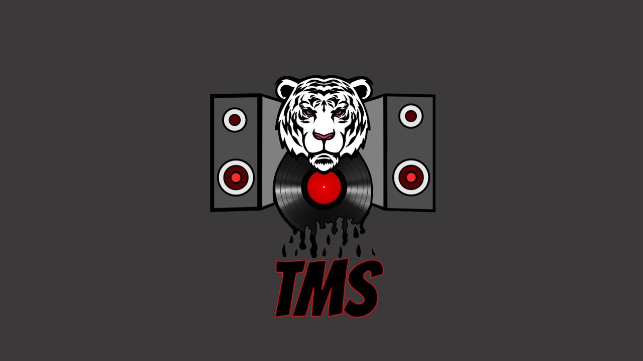 TMS Rap #song #rap #beat #hausemusik