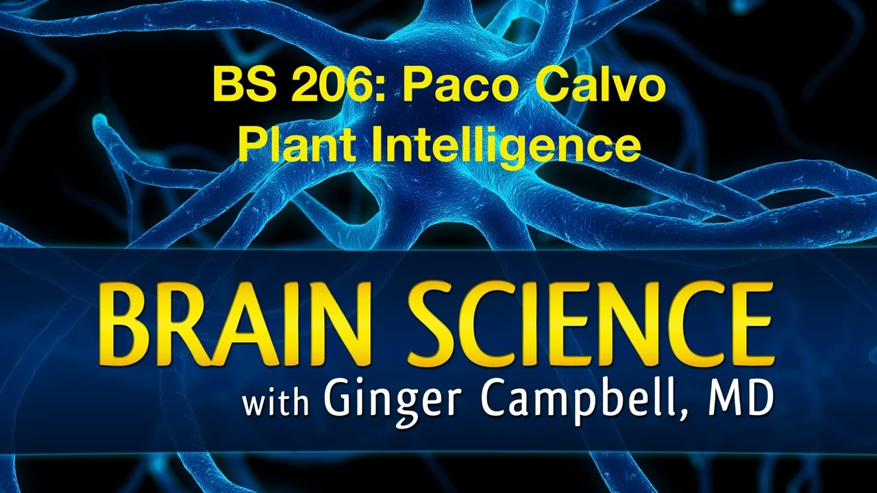 BS 206: Paco Calvo explores Plant Intelligence