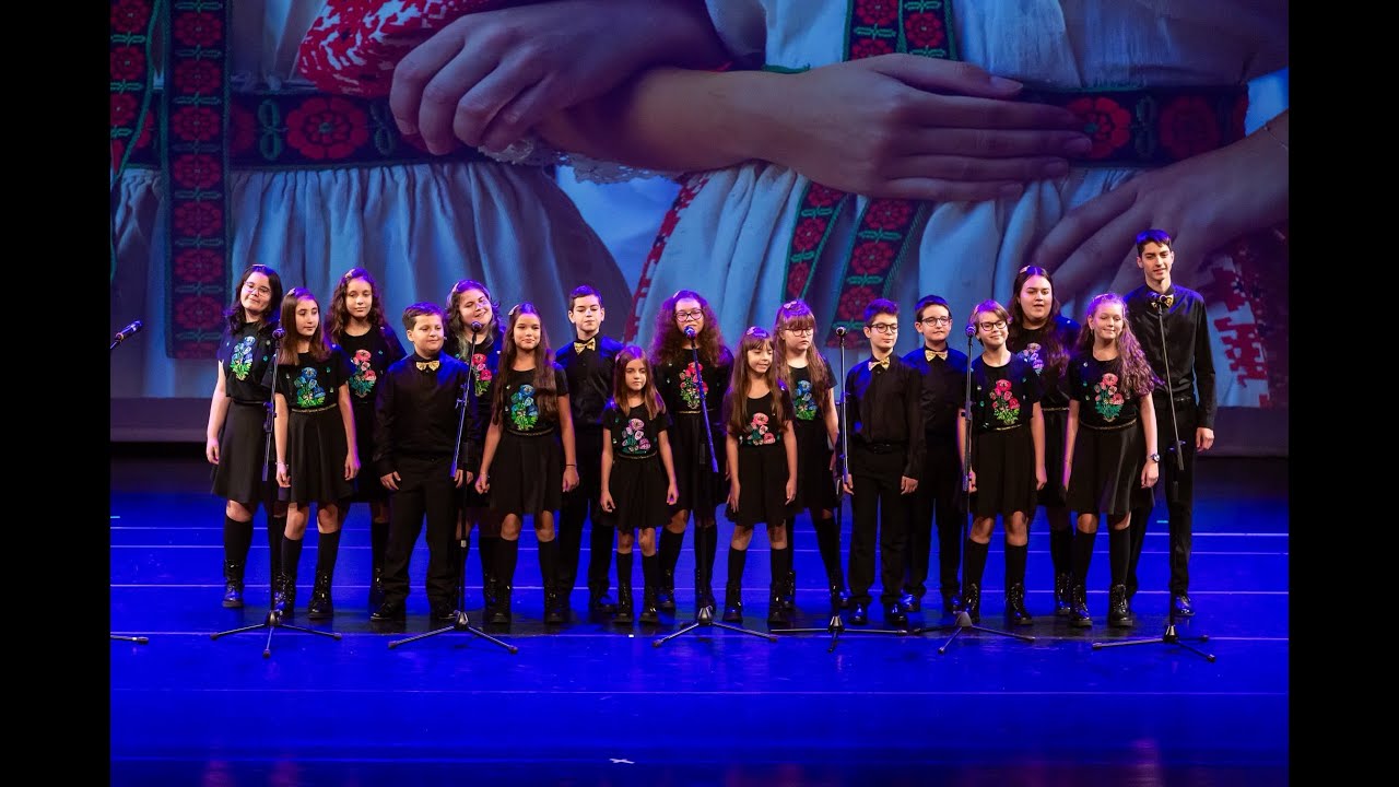 Allegretto la Festivalul Regional al Minorităților „Diferiți, dar egali”