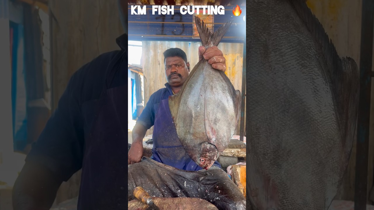 KASIMEDU 🔥 SPEED SELVAM FISH CUTTING VIDEO #kasimeduselvam #speedselvamcutting #shortsfeed #shorts