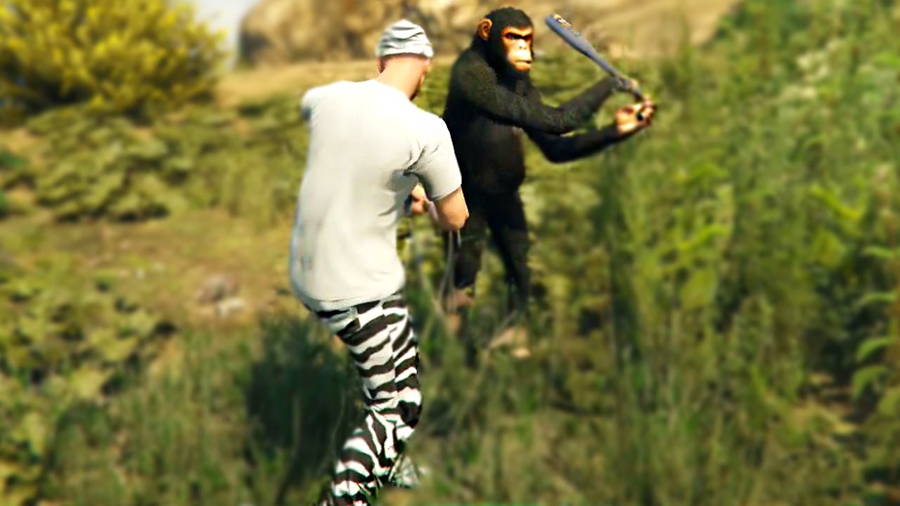 GTA 5 Funny Moments #16 (GTA V Fails and Random Gameplay Moments)