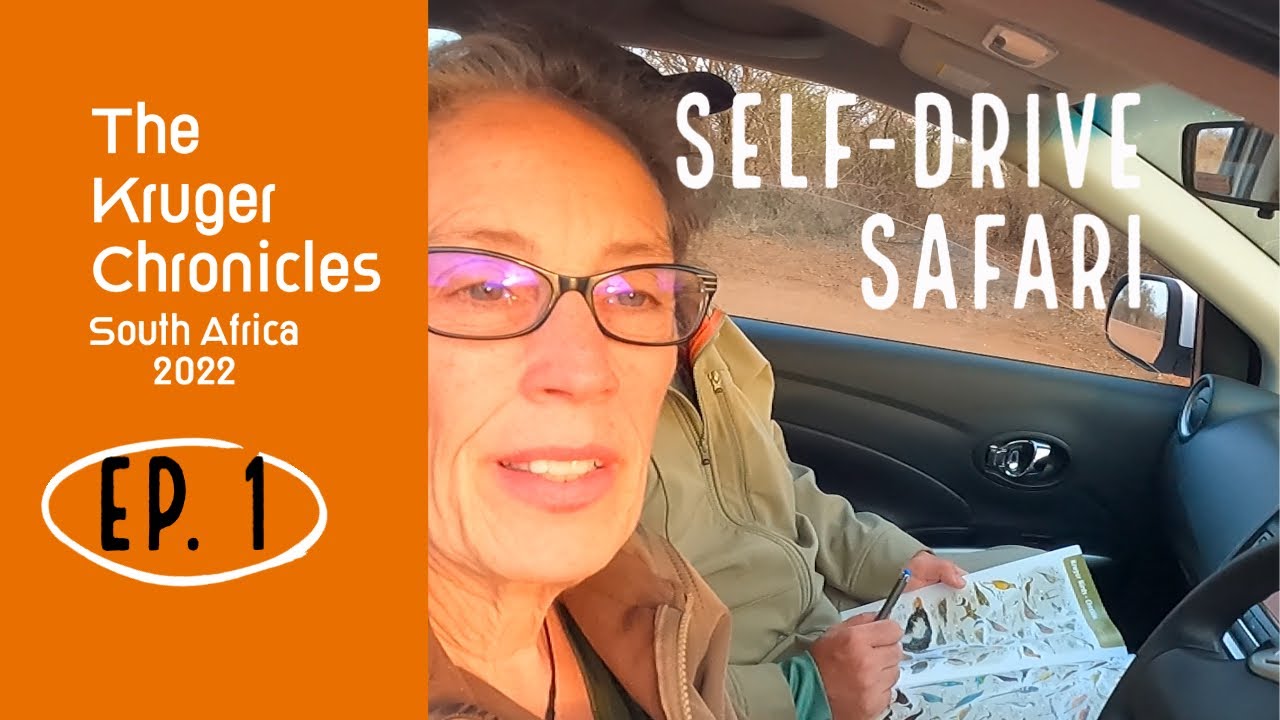 Doing the Kruger Self Drive Safari~Part 1
