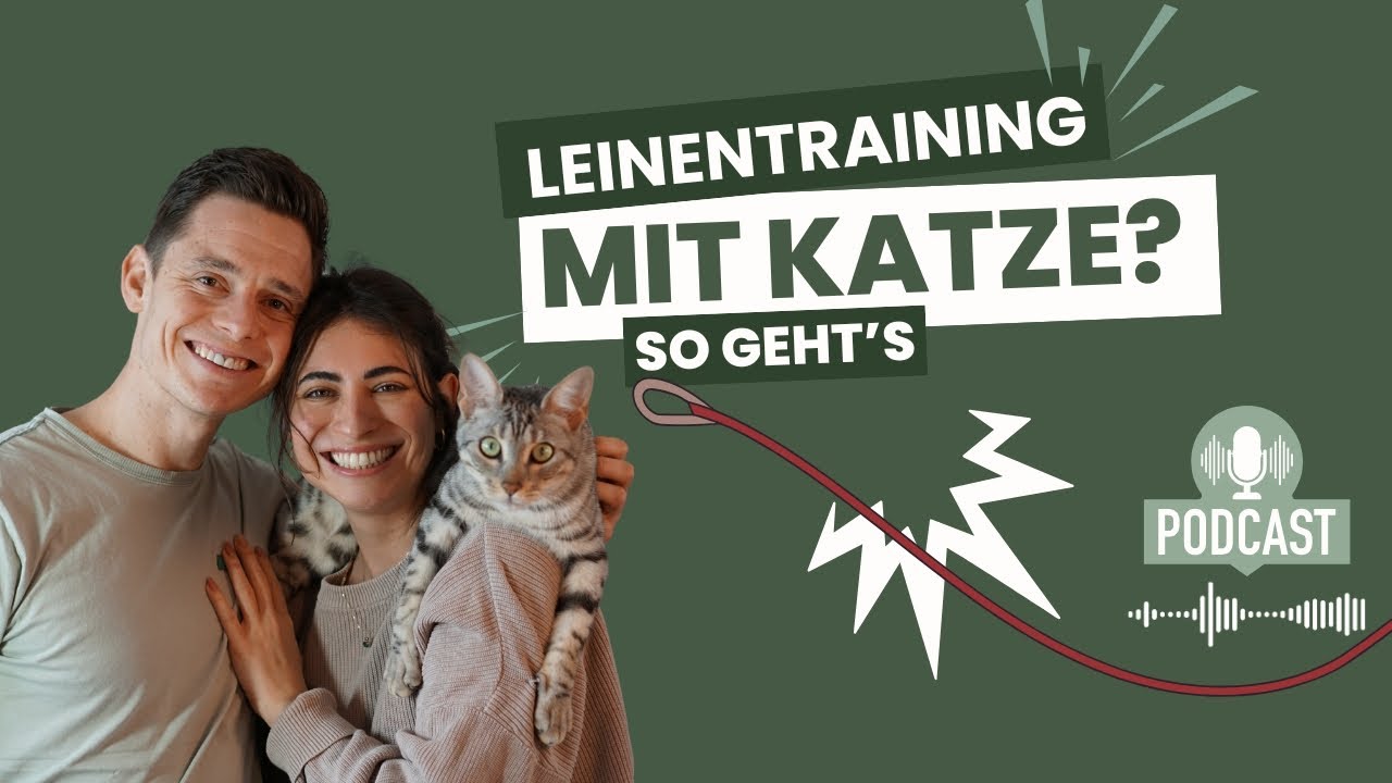Leinentraining mit Katze | Mit Katze Gassi gehen? – Video Podcast und Tutorial von Nala the Bengal.