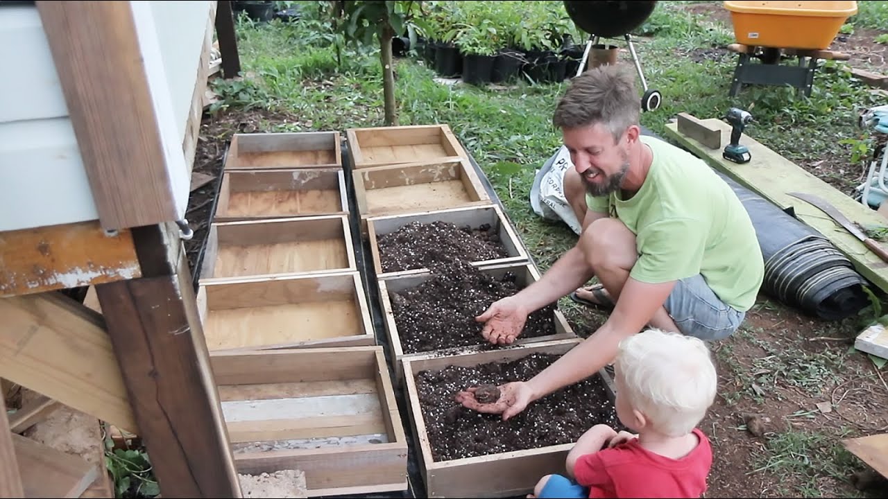 Starting Seedlings with Awesome Weed Block and Homemade Seedling Trays
