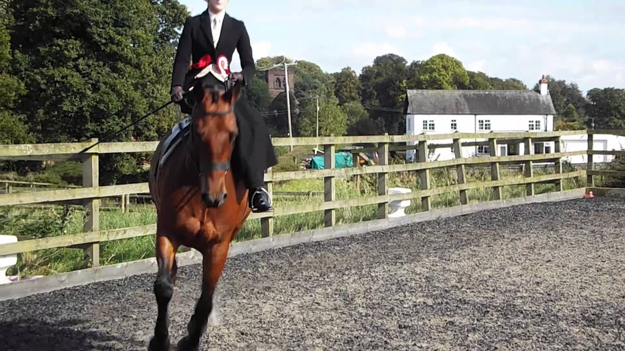 Side Saddle Association Area 11 Autumn Show Championship Hannah Henshall riding Secret Agent 2014