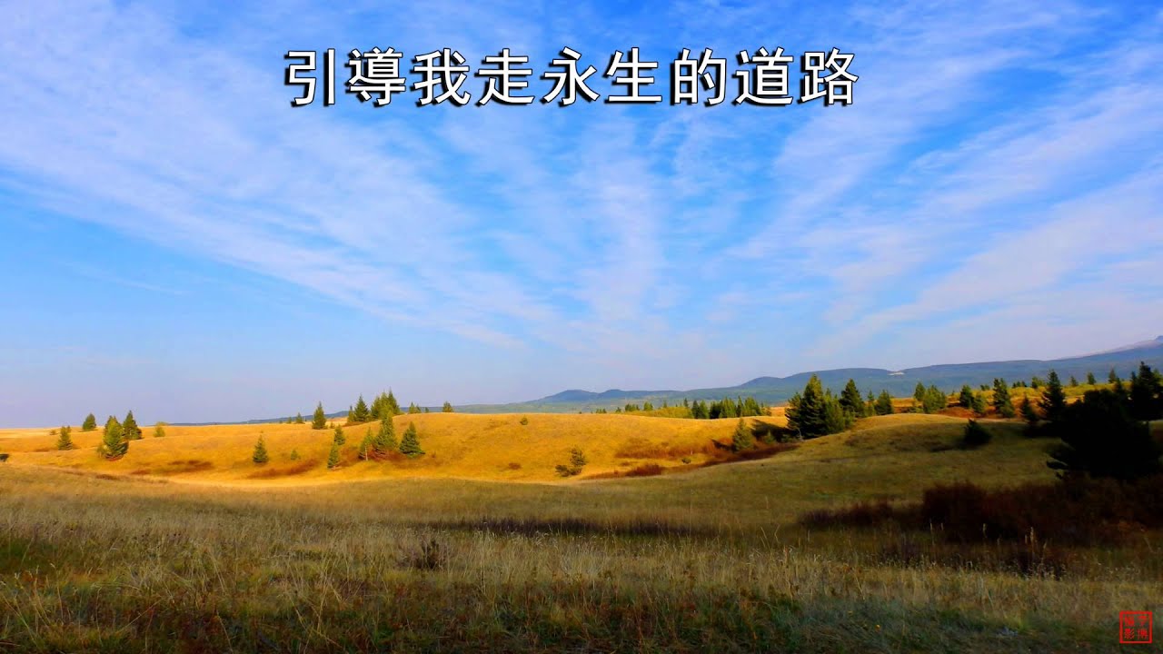 我是祢所造 | 小羊詩歌《盟約》專輯