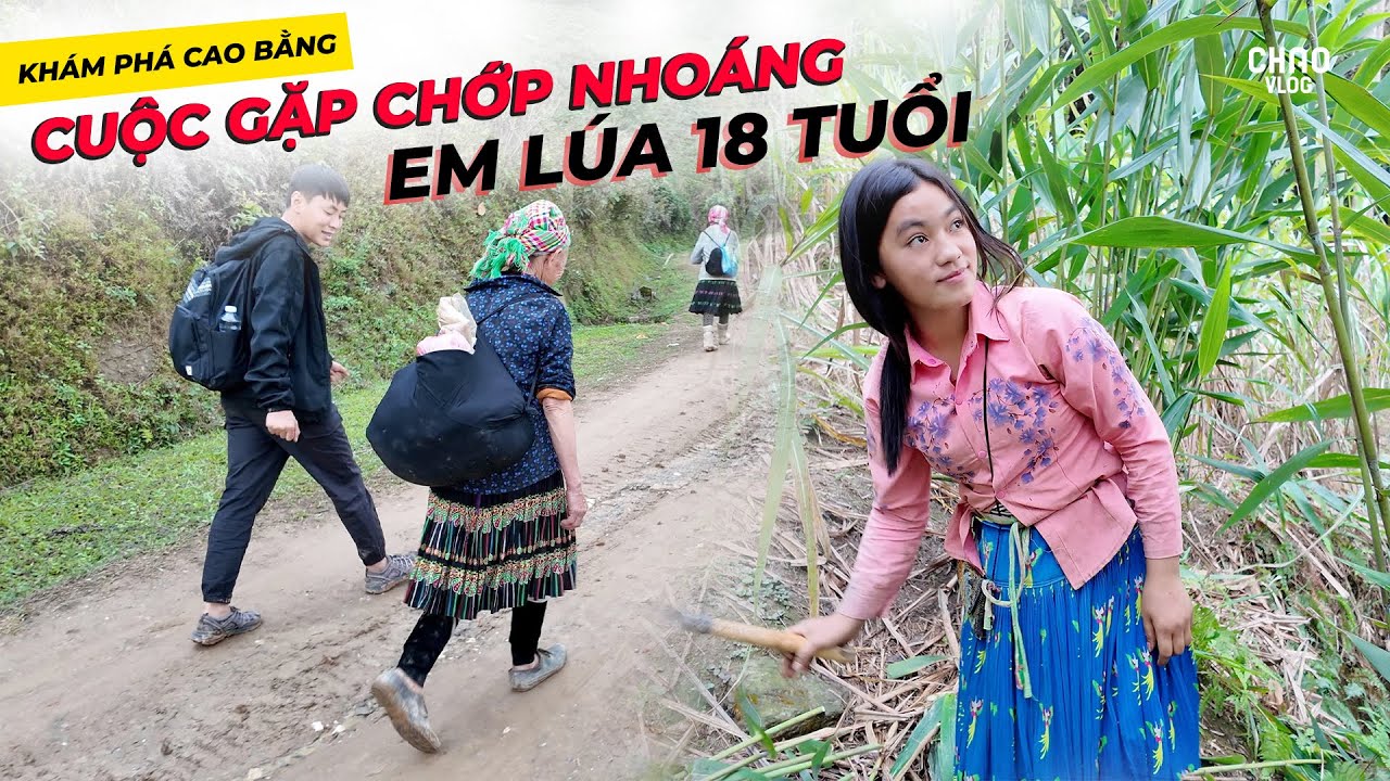 Cuộc Gặp Chớp Nhoáng Em Lúa 18 Tuổi Khi Bám Theo Bà Cụ Mất Cả Ngày Để Đi Chợ!