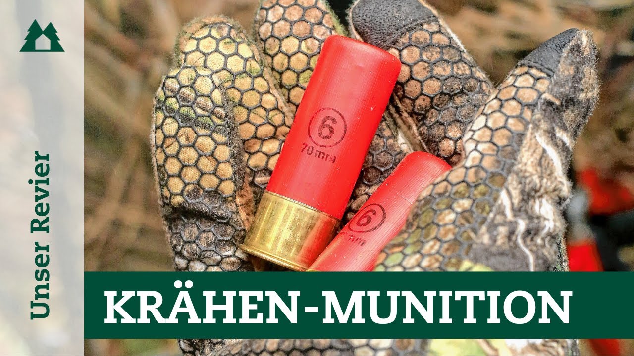 Krähenjagd: Mit diesen Schrotpatronen macht ihr sicher Strecke | Lockjagd | Munition | Schrotschuss