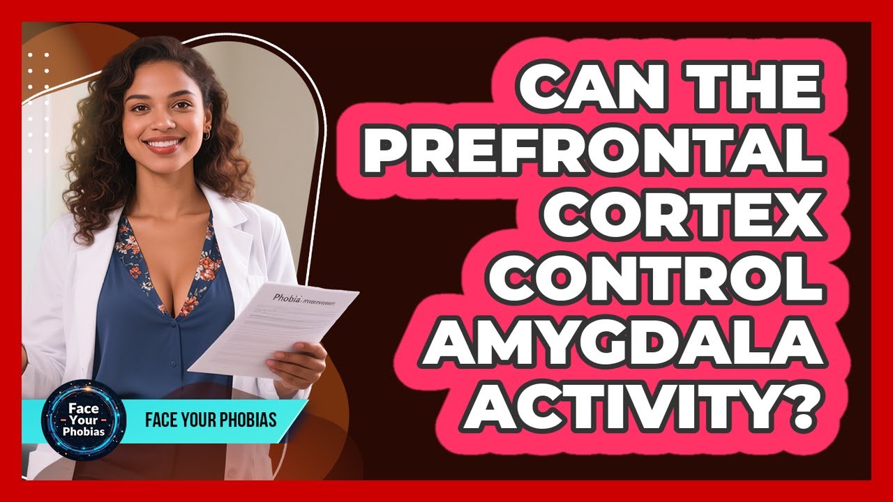 Can The Prefrontal Cortex Control Amygdala Activity? - Face Your Phobias