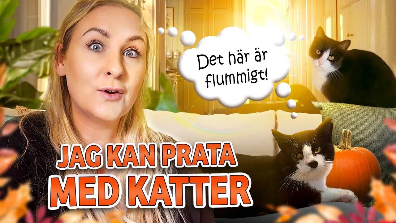 Ny familjemedlem! 🐰🐢🪱| VLOGG #547