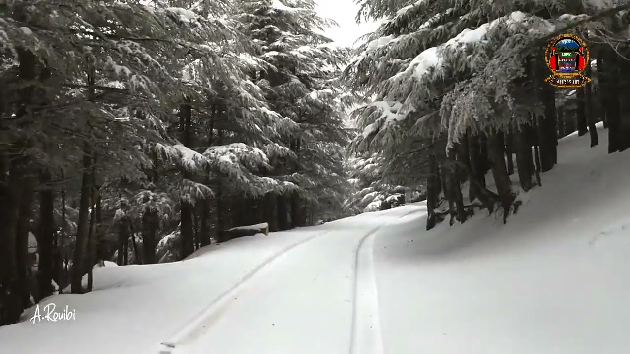 جديد فيديو من منطقة الاوراس شيليا مع اغنية شاوية 2022