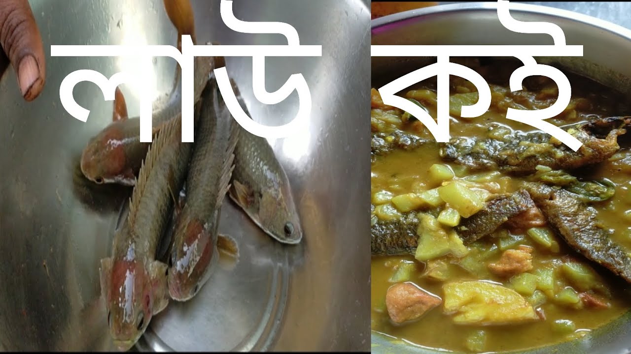 লাউ কই রেসিপি 