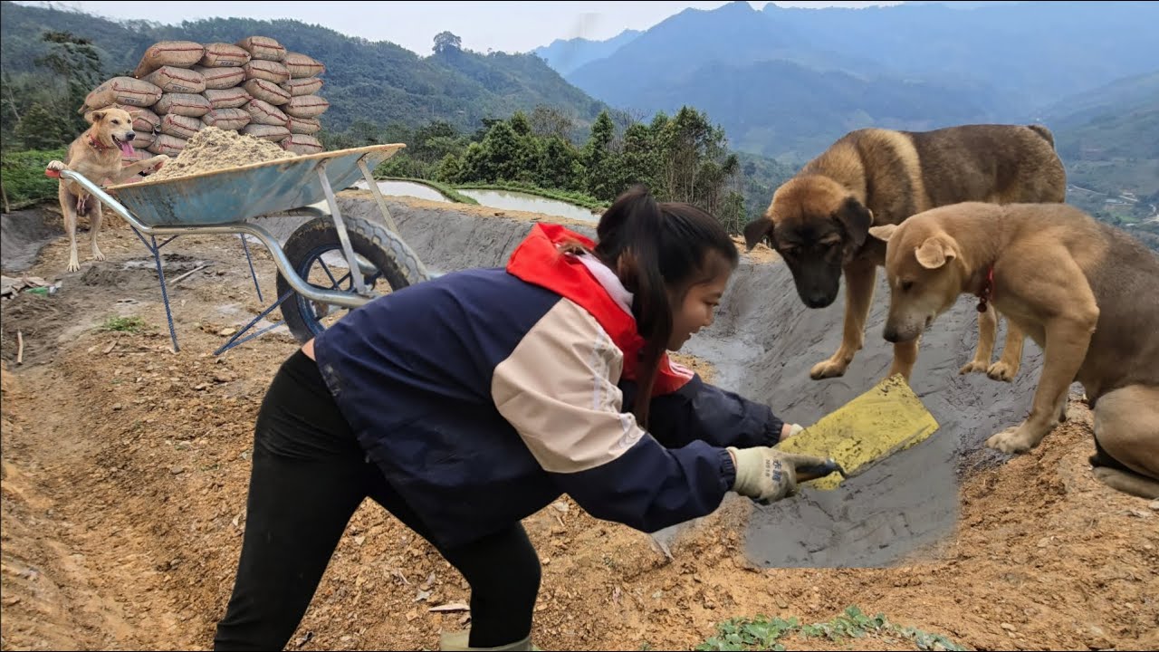 Vietnamese girl builds fish pond with 2 smart dogs - ha thi muon
