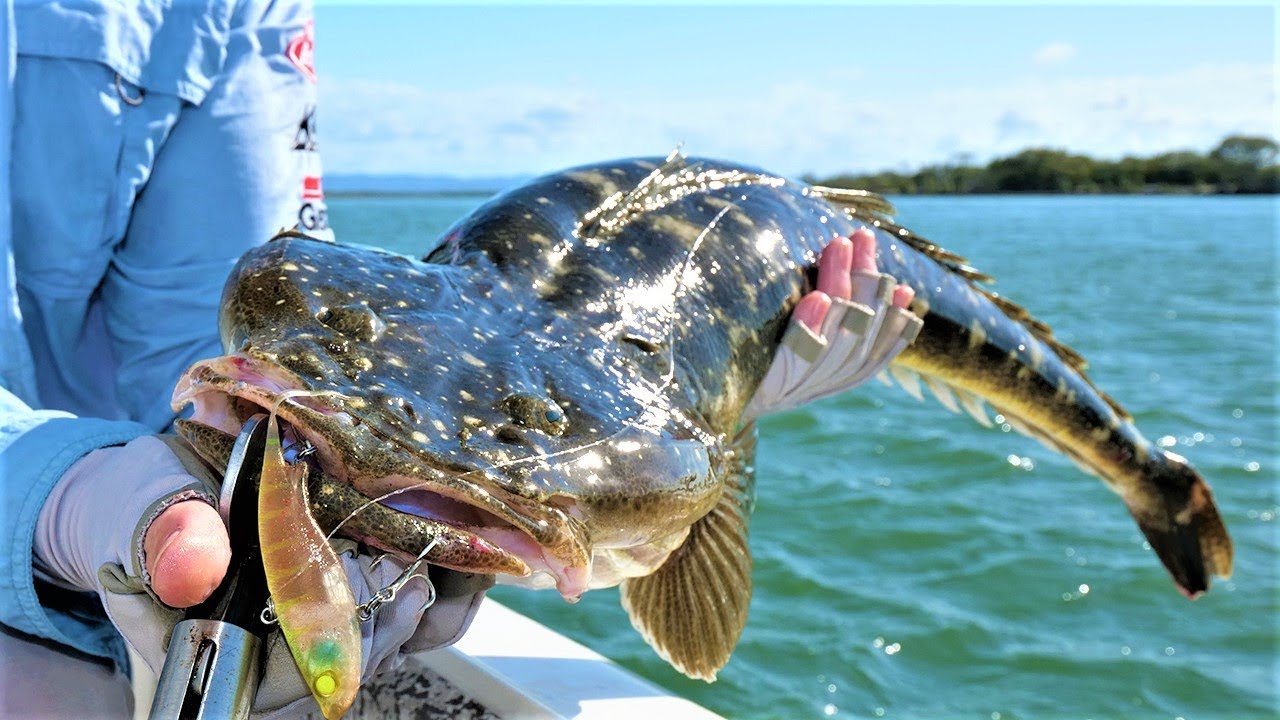 89CM FLATTIE!! + BIG Mulloway + more Flatties!!