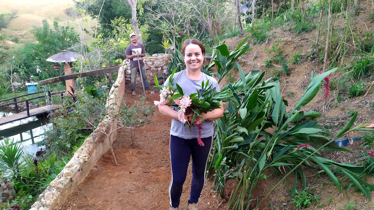 Canteiro com Flores  do Lixo
