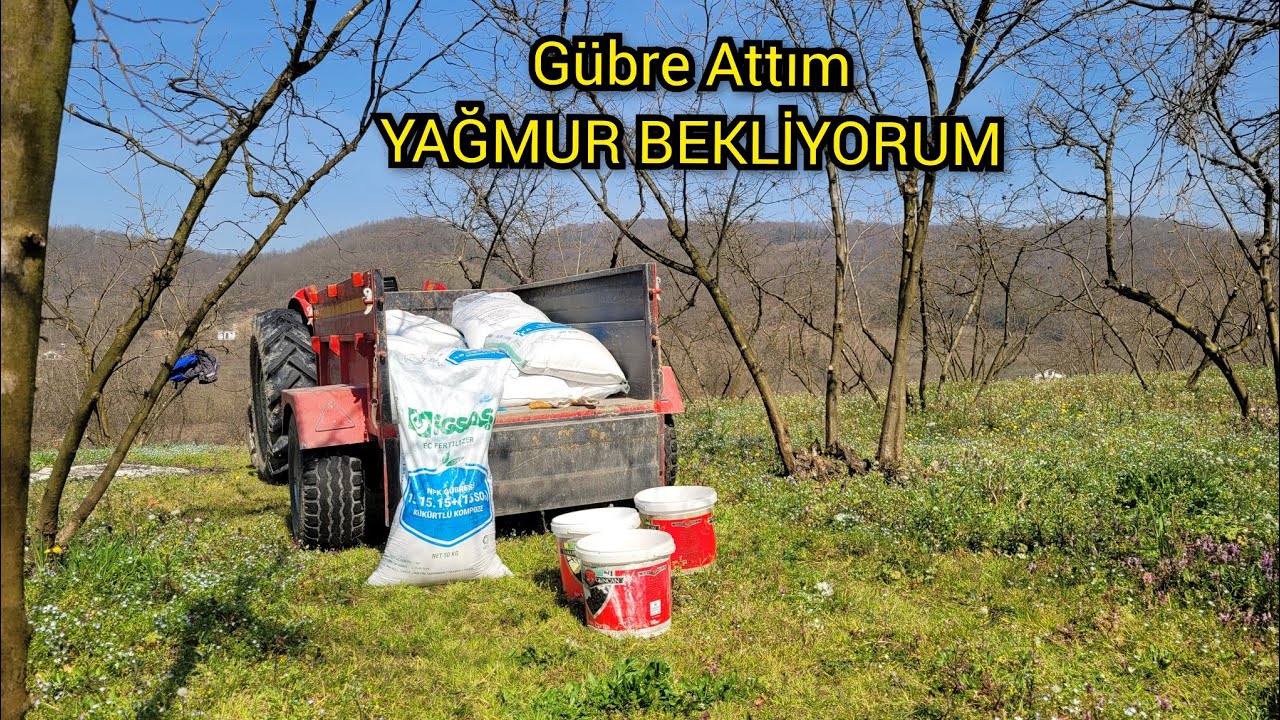 GÜBRE ATMA ZAMANI GELDİ - HANGİ GÜBREYİ ALDIM