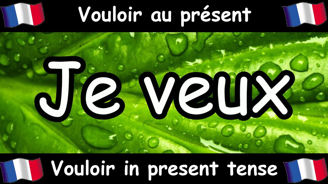 VOULOIR (To Want) Conjugation Song - Present Tense - French Conjugation - Le Verbe VOULOIR