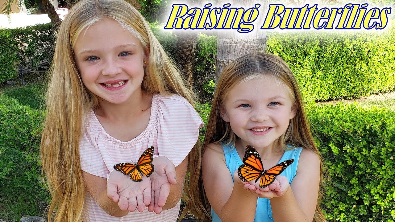 Our Caterpillars Turned Into Butterflies!!! Great Learning Experience for Kids!
