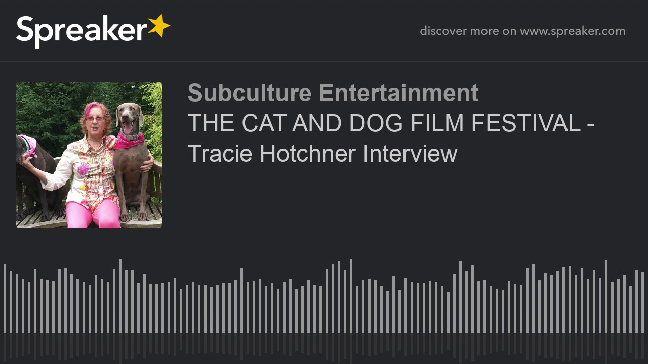 THE CAT AND DOG FILM FESTIVAL - Tracie Hotchner Interview