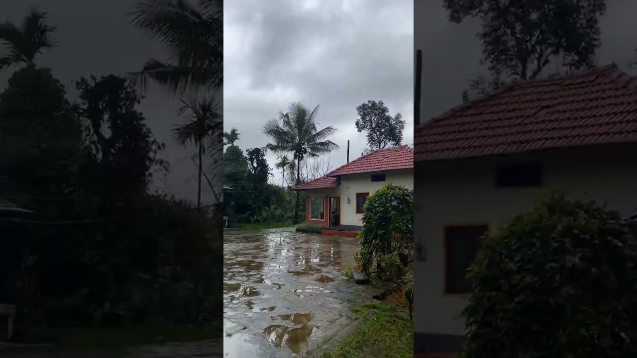 Homestay in Wayanad. Comment for the Caretakers number 🙏🏻 #butter #youtube #youtubechannel #india