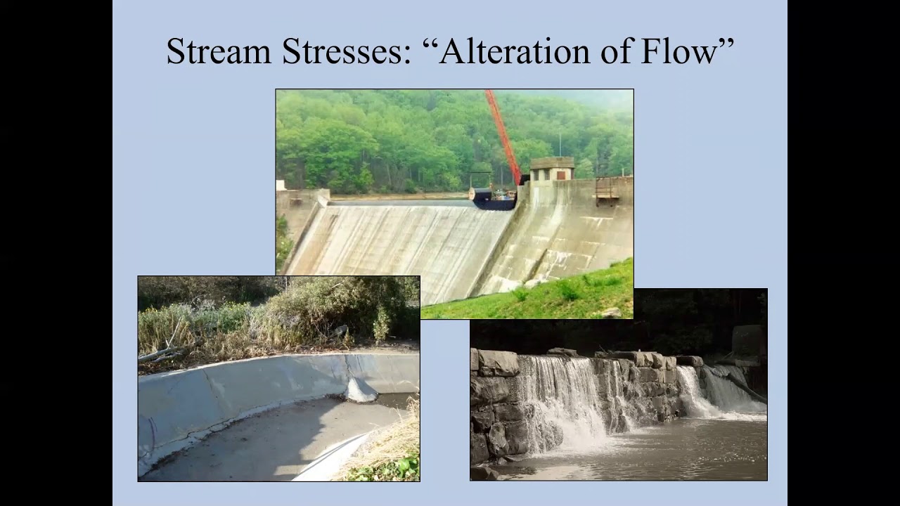 Week 7 - Intro to Stream Ecology pt1