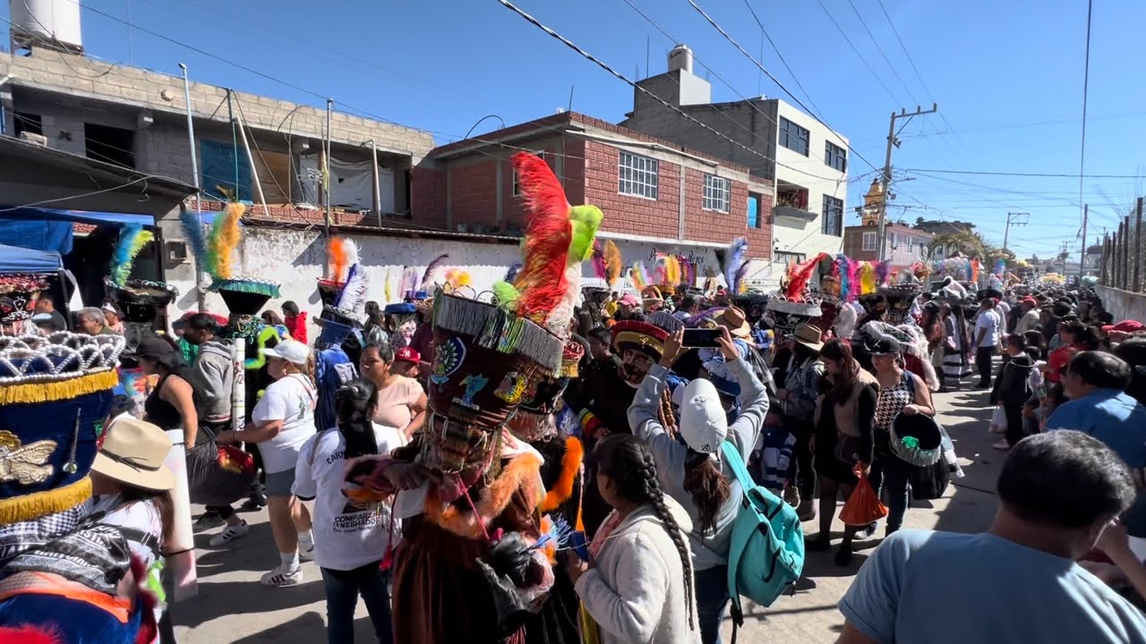 Carnaval 2024 | San Pedro Tlaltizapan