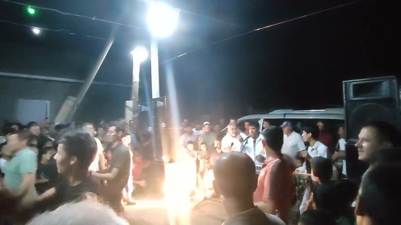 ТУЯ ДЕВОНА КАД ХАМАДОНИ