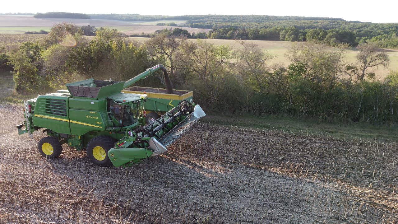 Récolte du tournesol 2021 🌻 | John Deere |