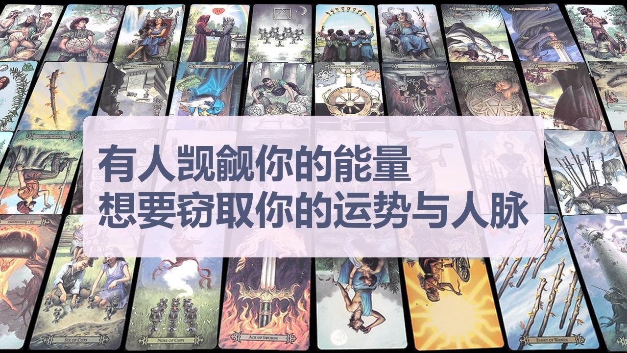 Tarot✨有人觊觎你的能量，想要窃取你的运势与人脉