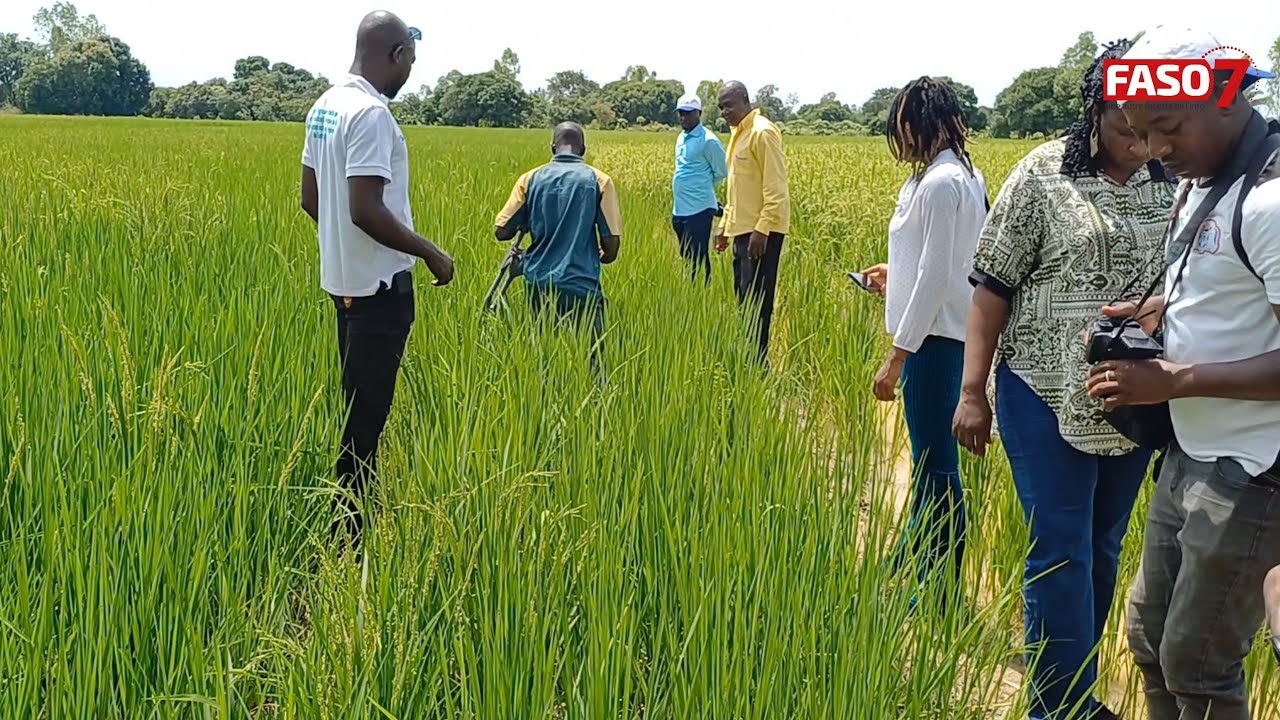 Agroécologie au Burkina Faso: Des unités de transformation du riz satisfaites du PACTE au Centre-Est