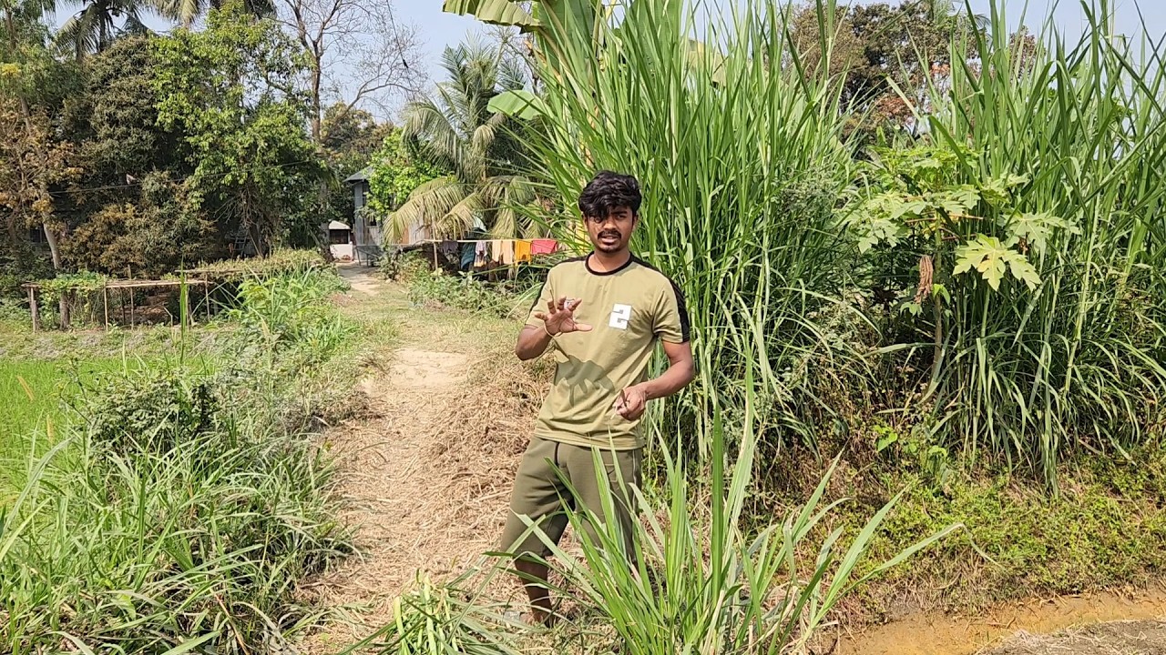 আমাদের অনুষ্ঠানে কয়শ মানুষ খাওয়ানো হবে তা আজ বলে দিলাম । Bangladeshi Simple Village Farmer Life |