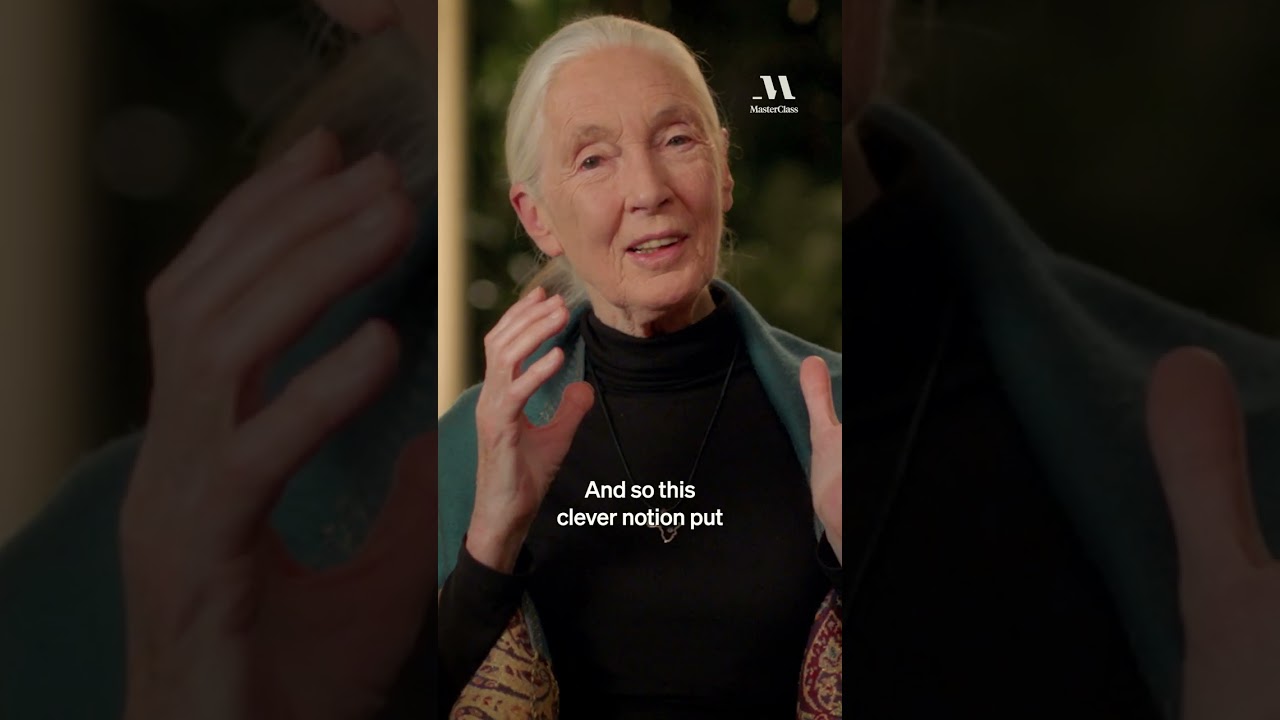Jane Goodall's Ways to Live in Harmony with Nature #janegoodall #nature #harmony #masterclass