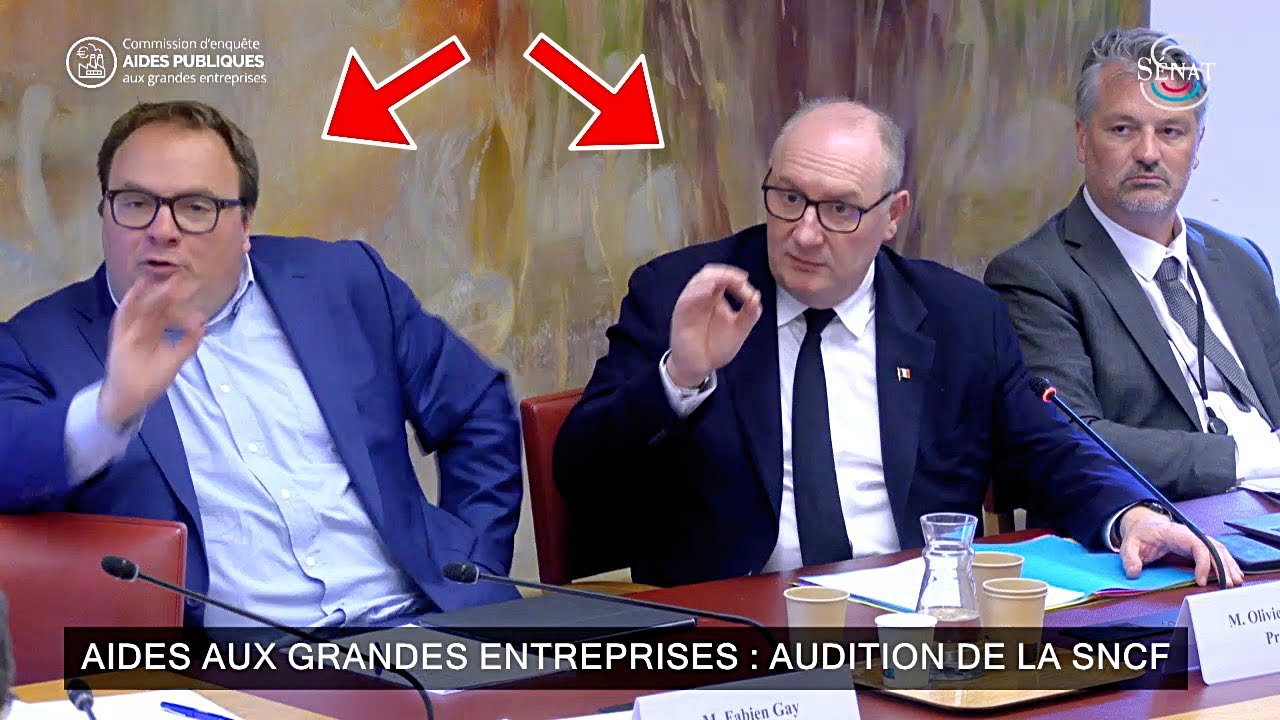 Billets TGV hors de prix : le PDG de la SNCF somm&eacute; de s&rsquo;expliquer au s&eacute;nat !